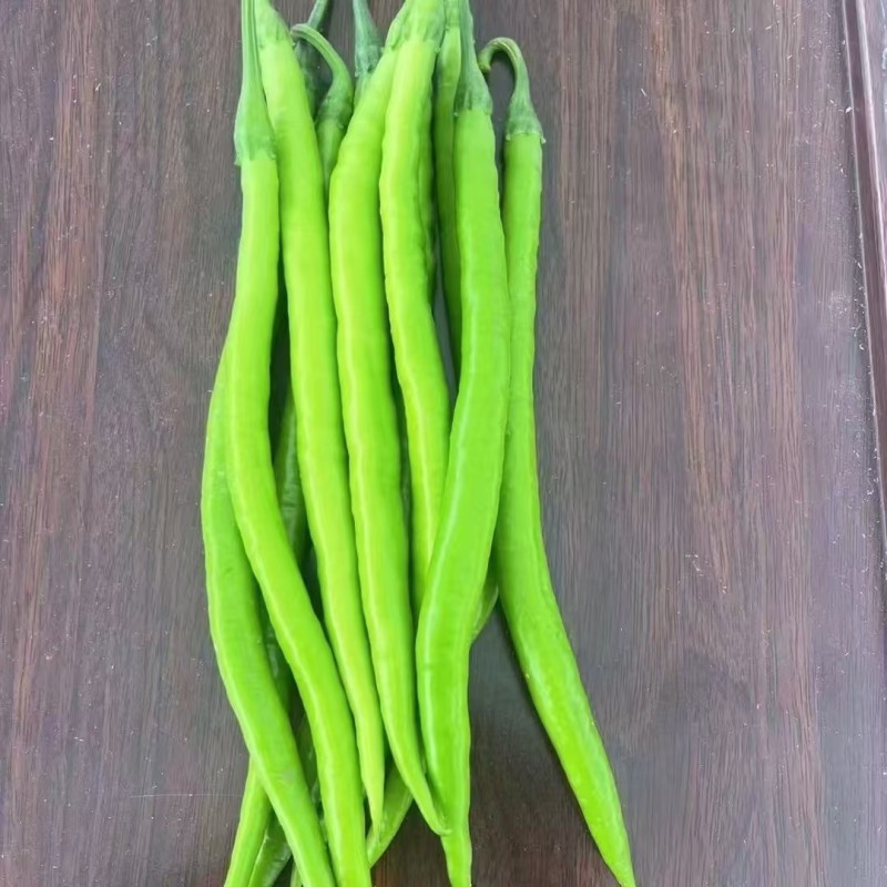 顺美18线椒种子顿尖品种