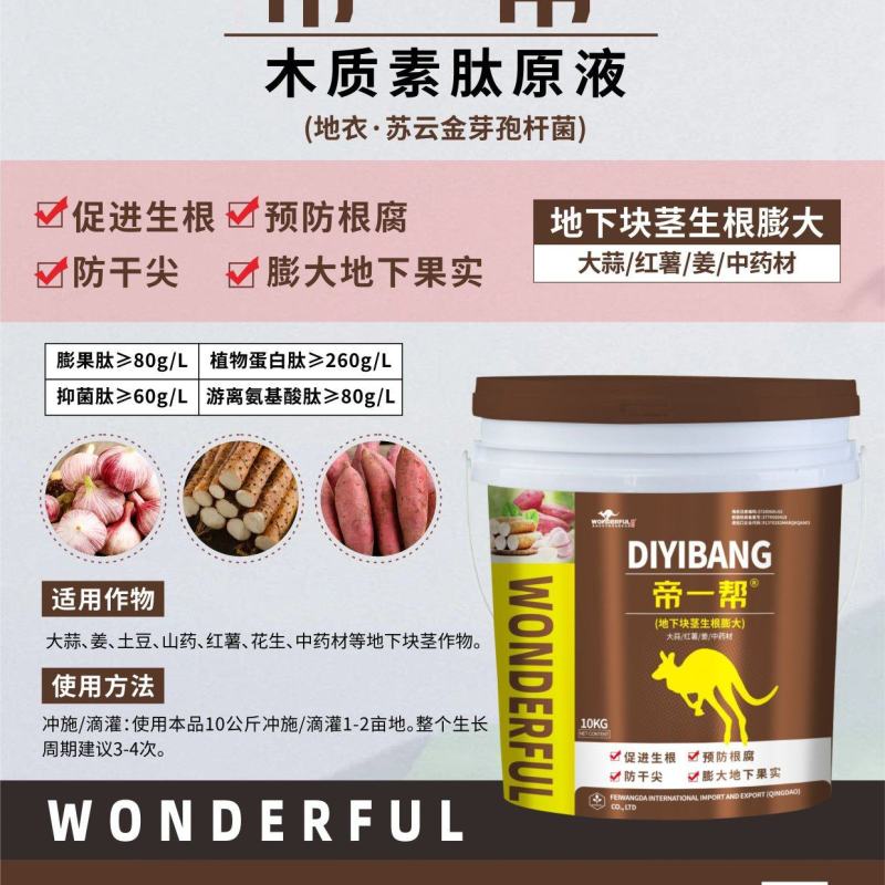 大蒜红薯姜药材，地下块茎生根膨大专用，促生根膨大地下果实
