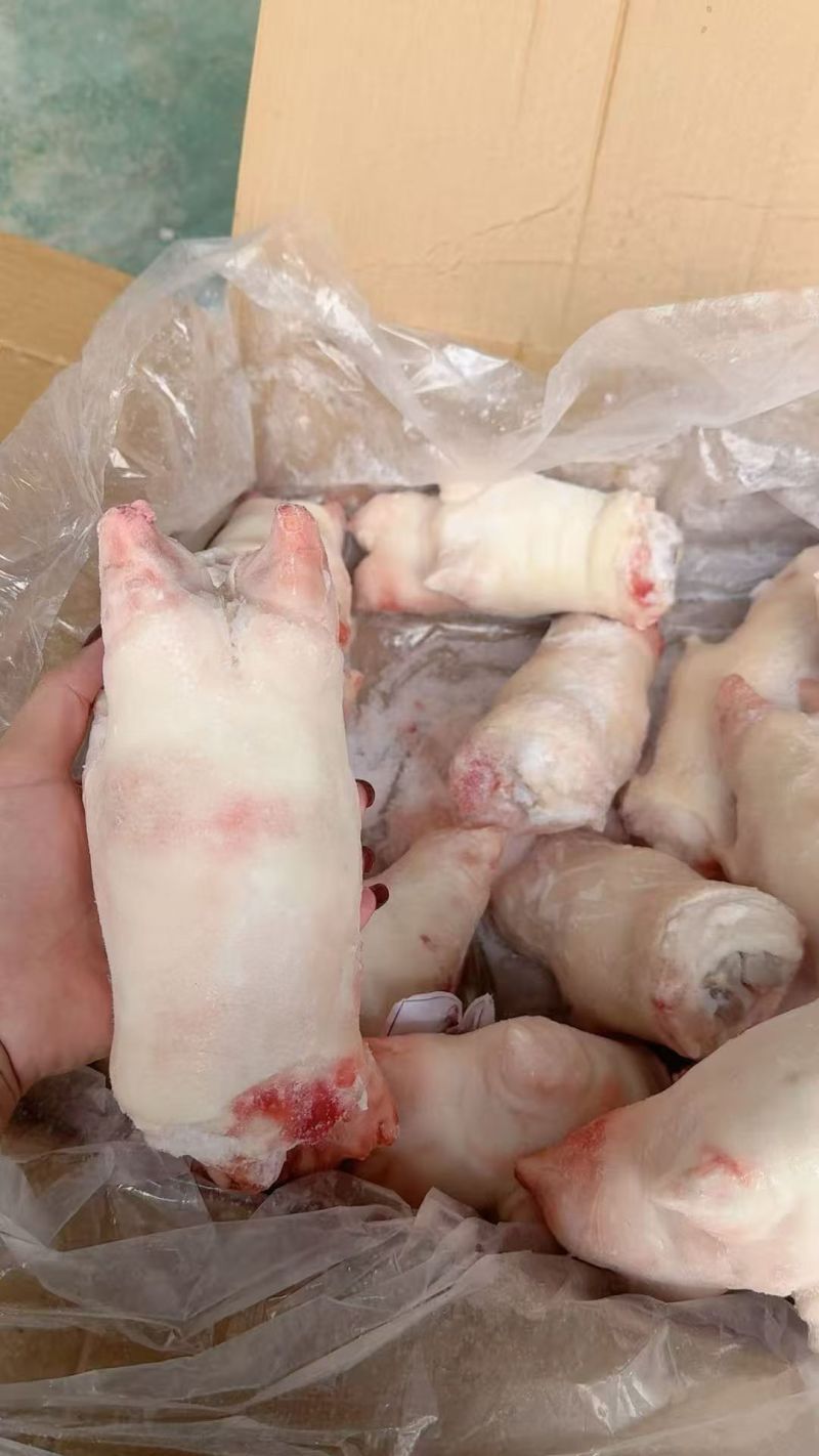 猪蹄各种规定，一级二级，调理，纯干都有货，全新冷冻。