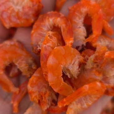 干对虾仁烤虾仁对虾仁鲜虾现烤干度鲜度口感非常好