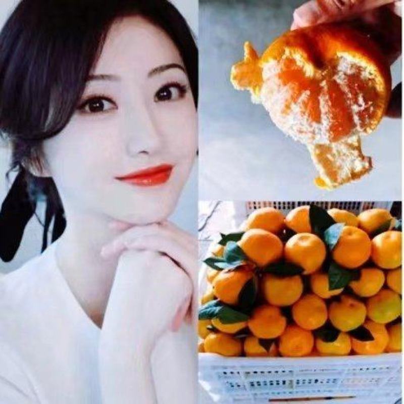 汉中柑橘小叶蜜橘：产地直供代发全国，口感甜无酸味现货