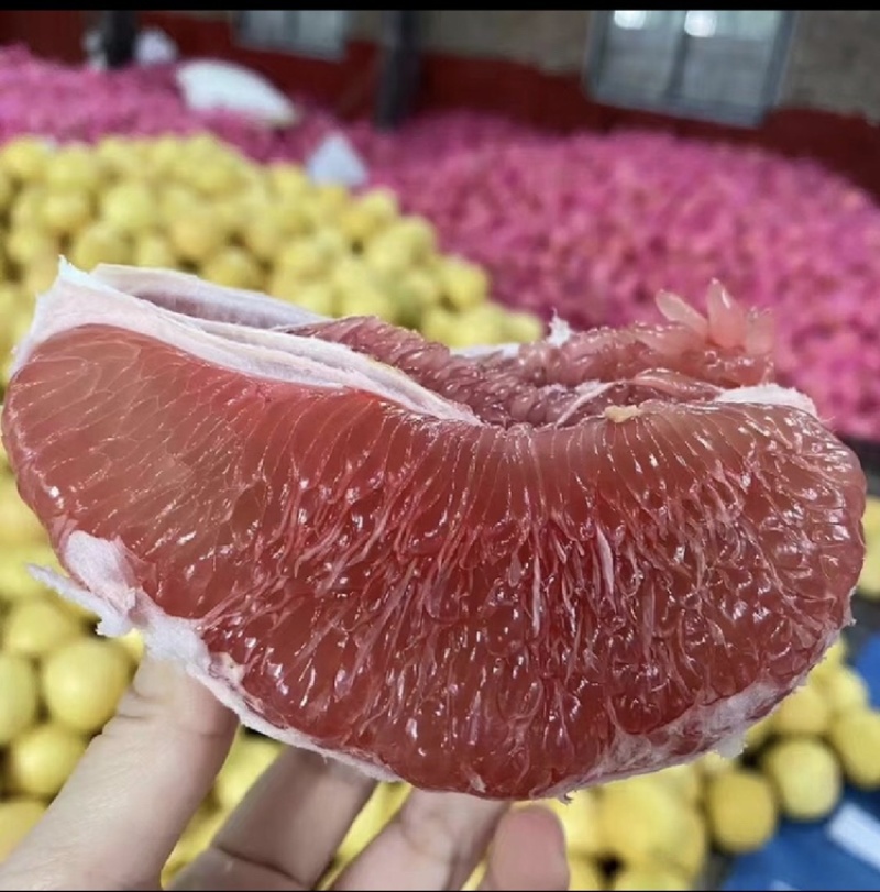 三红柚红心柚大量上市对接全国电商批发商档口