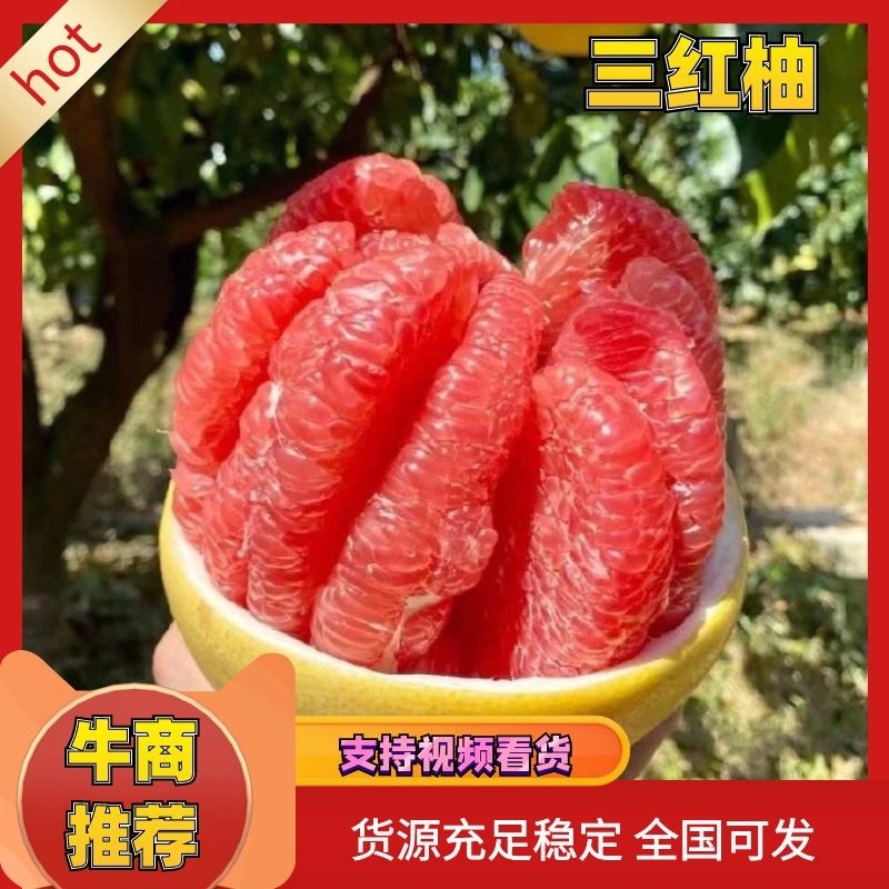三红柚红心柚大量上市对接全国电商批发商档口