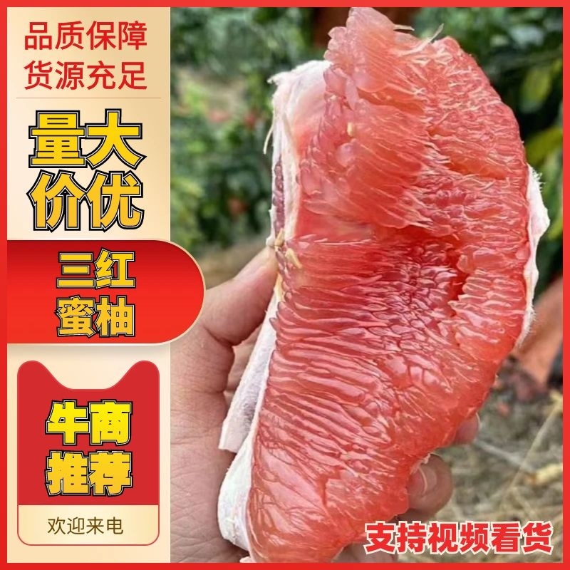 三红柚红心柚大量上市对接全国电商批发商档口