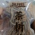 茶树菇