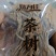 茶树菇