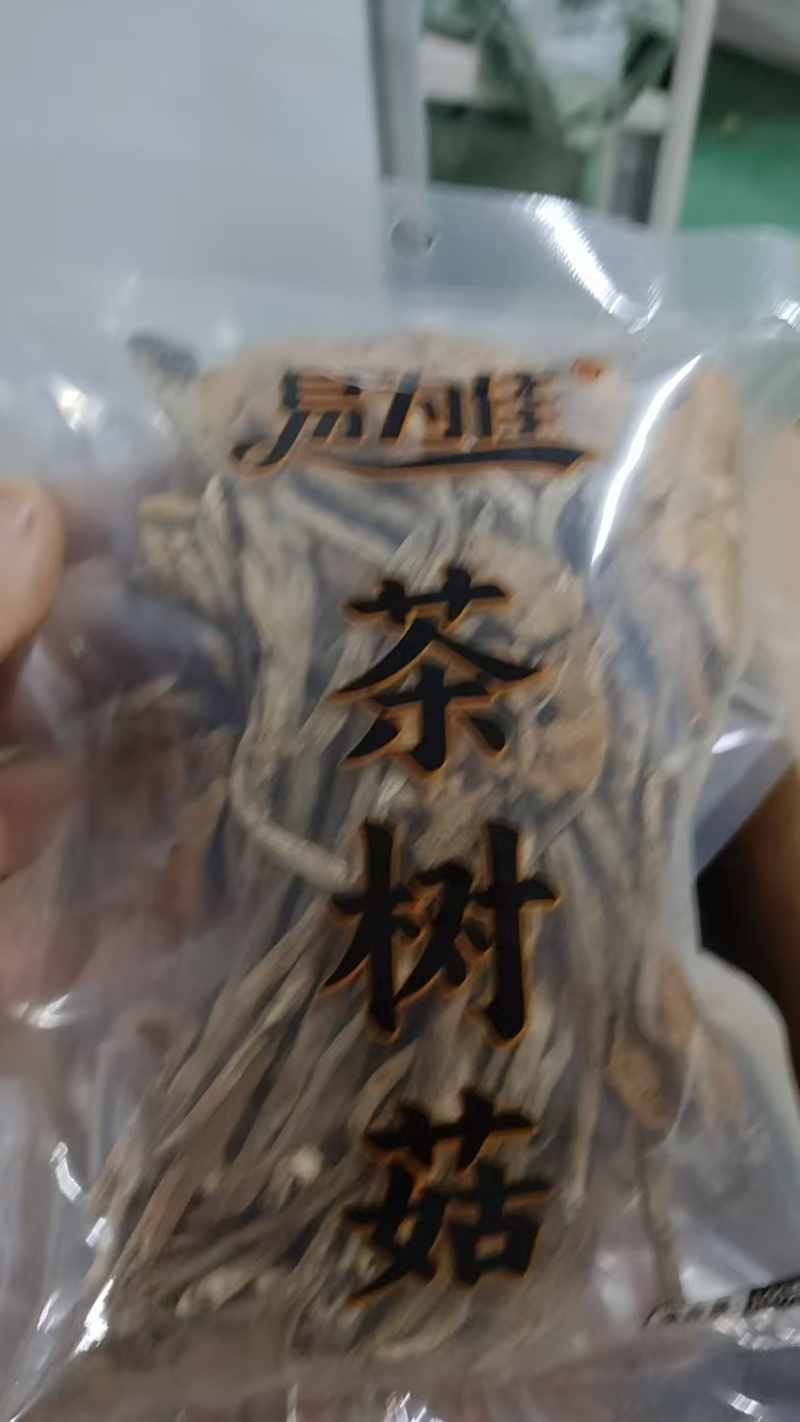 茶树菇