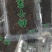 茶树菇