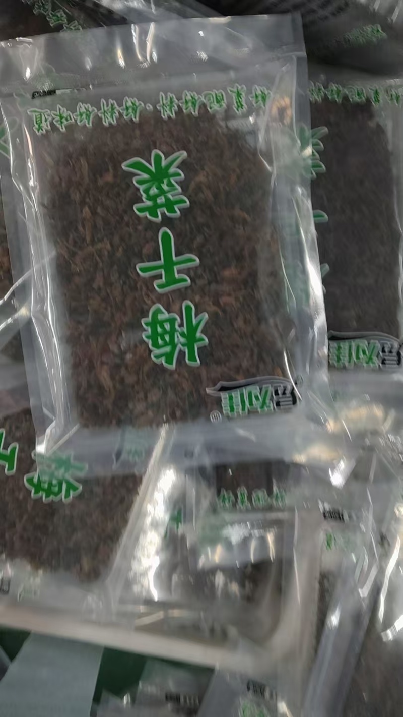 茶树菇