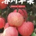 【洛川苹果】陕西红富士/洛川红富士苹果/专业代办