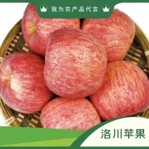 【优选】洛川苹果/陕西红富士苹果/电商团购/一件代发便宜