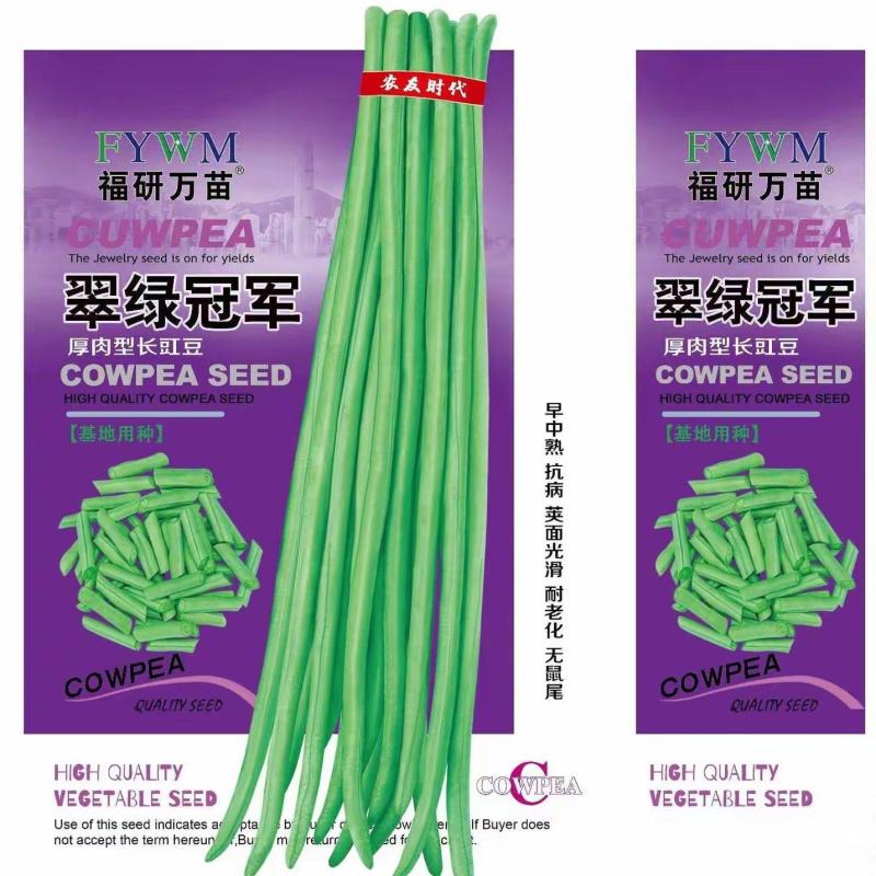 翠绿冠军，豆荚浅绿色早中熟长达1米