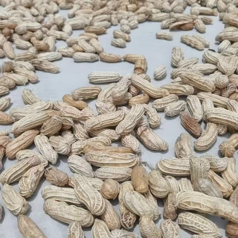 云南富硒带壳黑花生干货云南产地直发，全国发货，欢迎下单