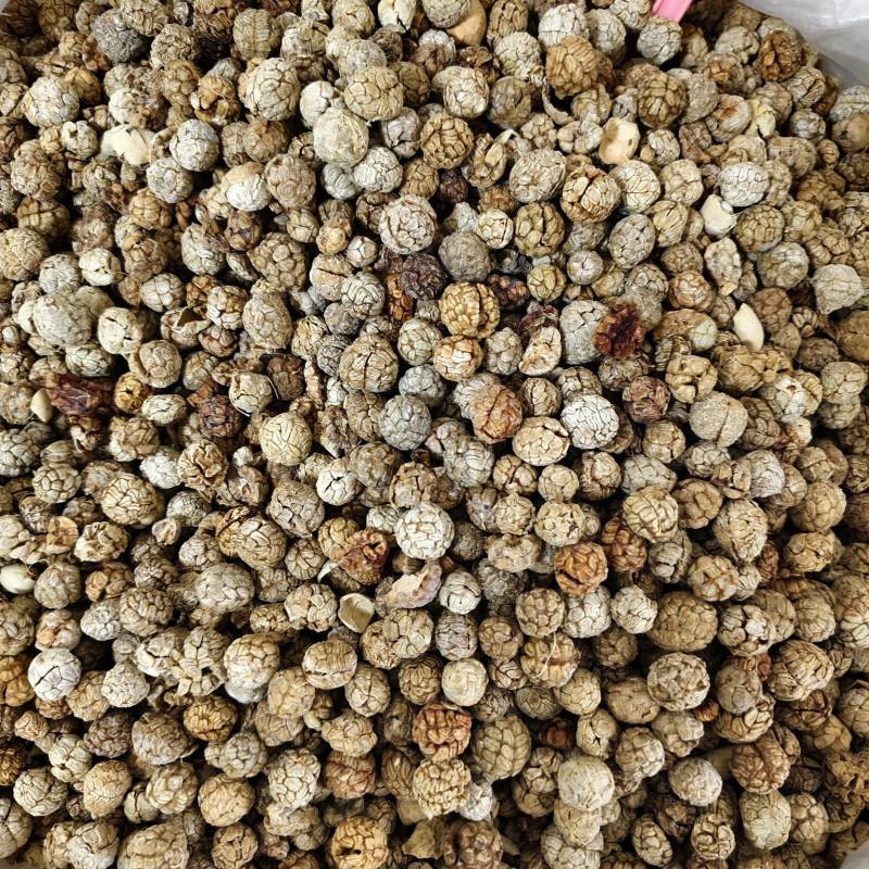 草豆寇各种规格草寇齐全批发零售量大从优