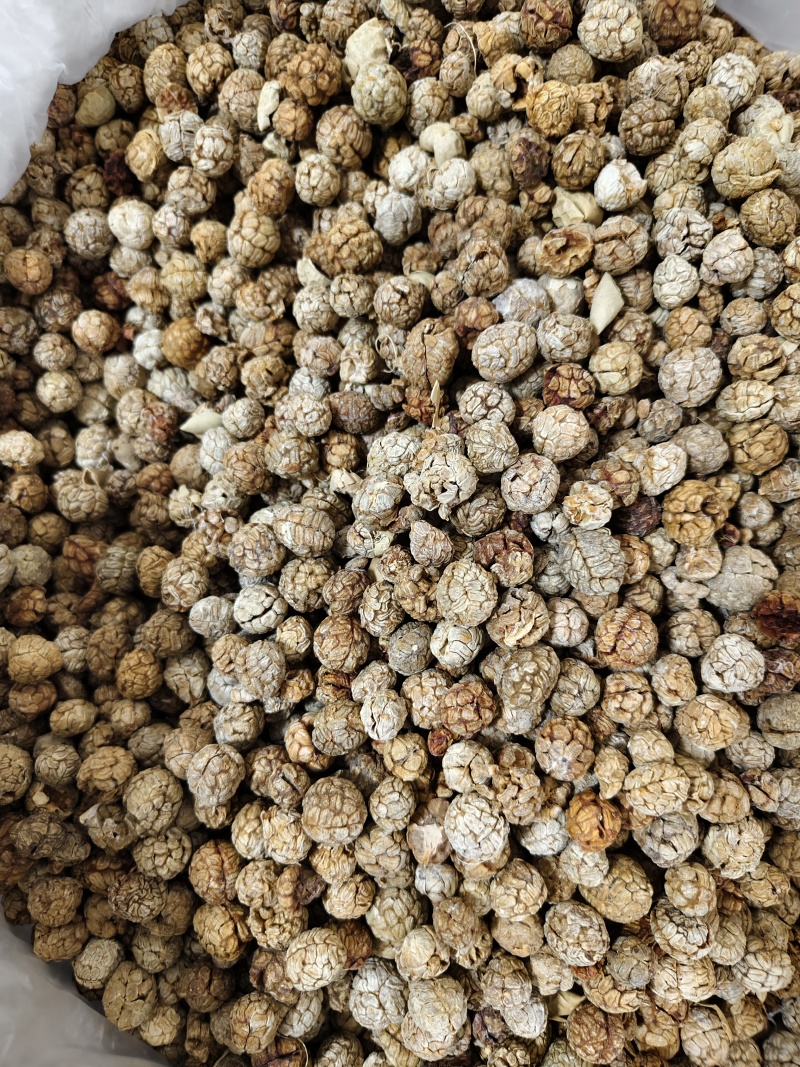 草豆寇各种规格草寇齐全批发零售量大从优