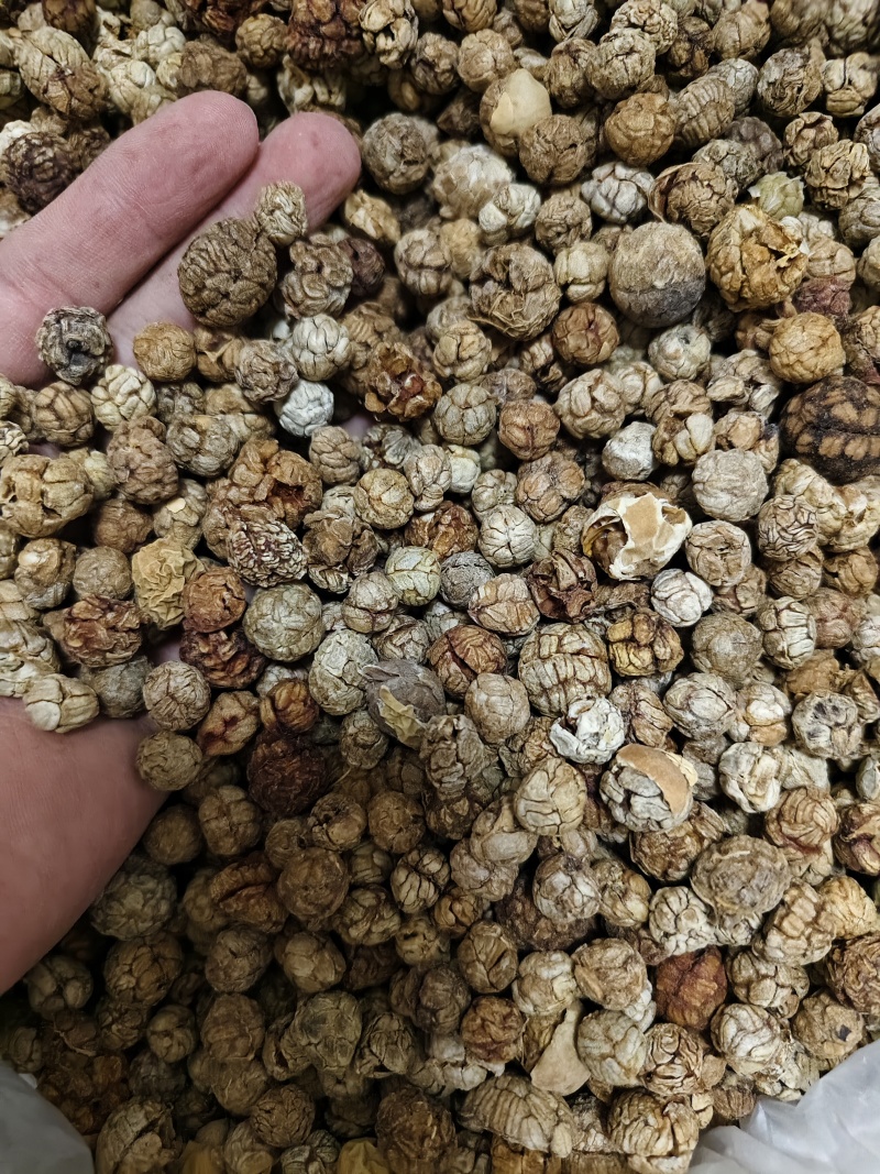 草豆寇各种规格草寇齐全批发零售量大从优