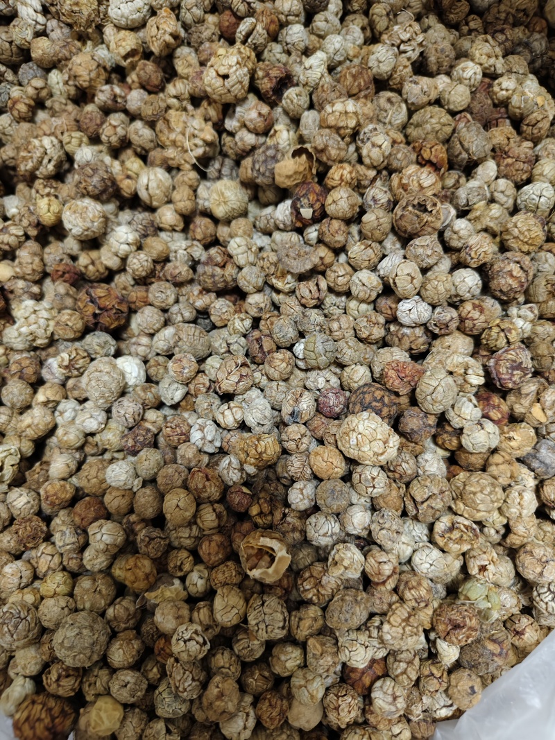 草豆寇各种规格草寇齐全批发零售量大从优