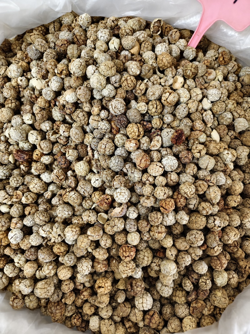 草豆寇各种规格草寇齐全批发零售量大从优