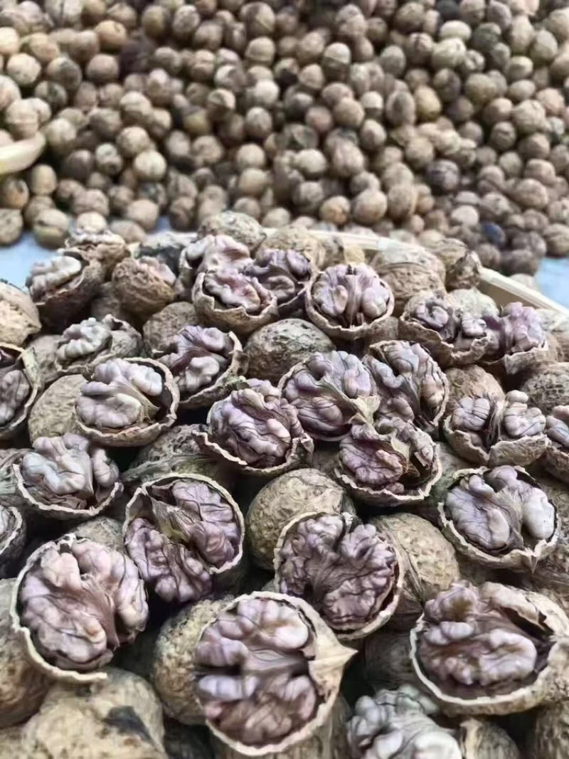 核桃紫皮核桃云南特色大量有货、产地直销、全国发货