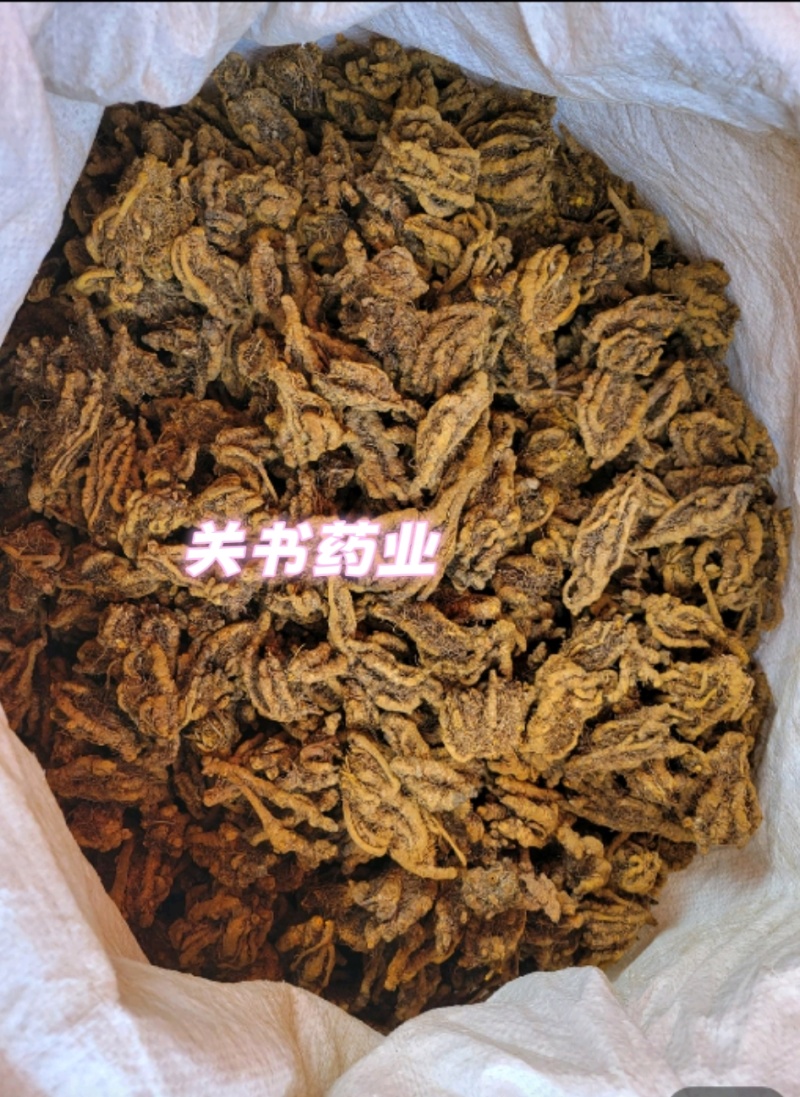 黄连鸡爪黄连选关书药业批发中药材规格齐全