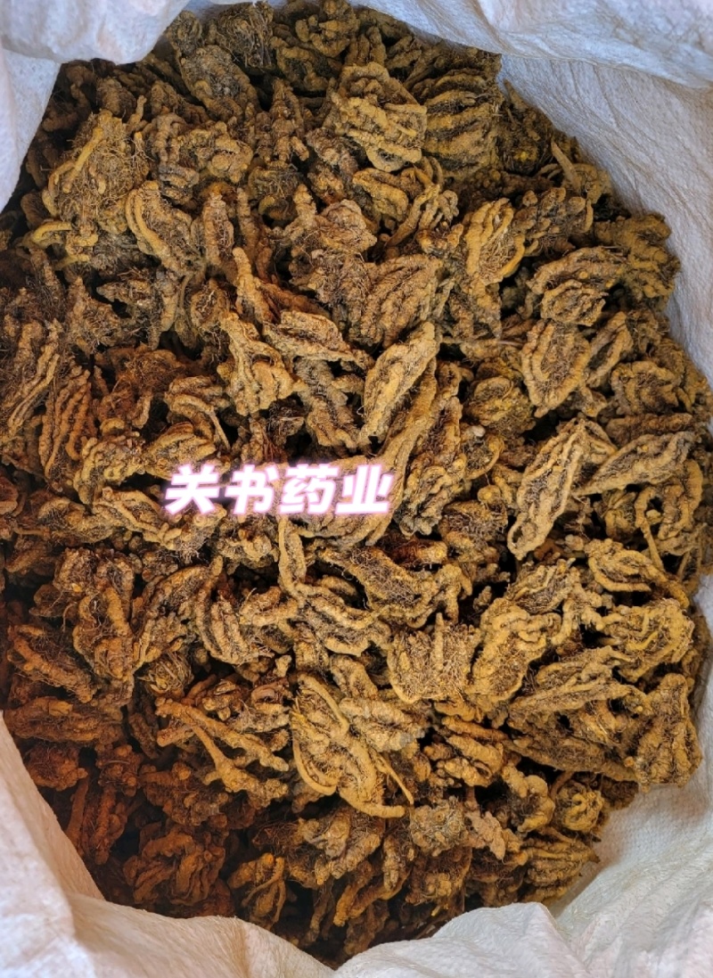 黄连鸡爪黄连选关书药业批发中药材规格齐全