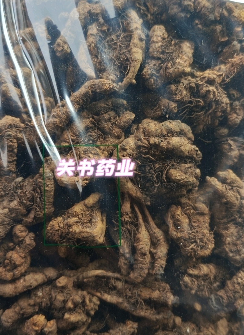 黄连鸡爪黄连选关书药业批发中药材规格齐全