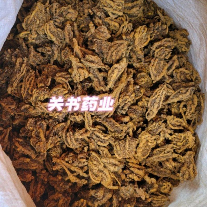 黄连鸡爪黄连选关书药业批发中药材规格齐全