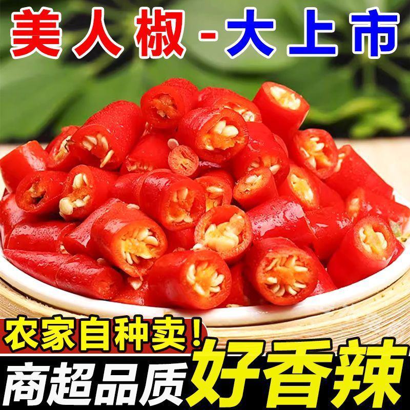 精品红金塔青红杭椒美人椒品质里的精品需要的请联系