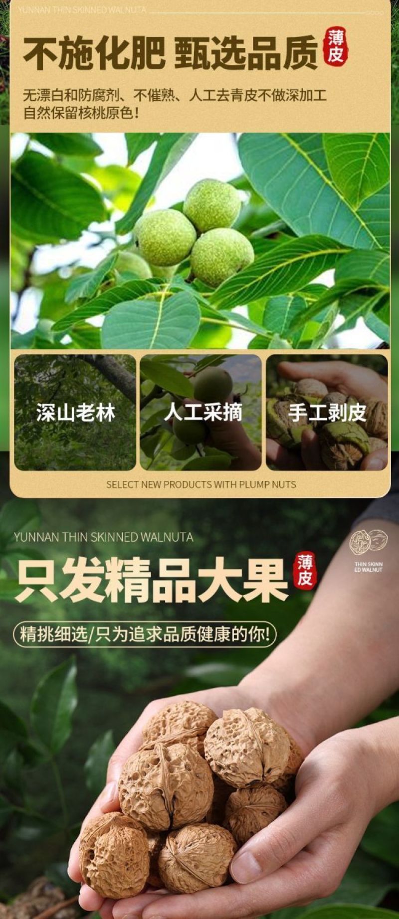 云南核桃新货核桃孕妇零食薄皮核桃原味核桃