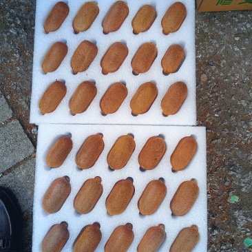 贵州修文贵长猕猴桃，9分甜1分酸，皮薄肉厚，软糯香甜还爆