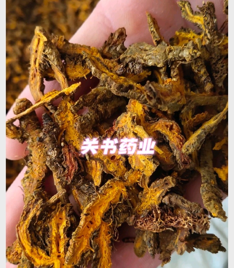 黄连片新货过筛片型好颜色好关书药业中药材