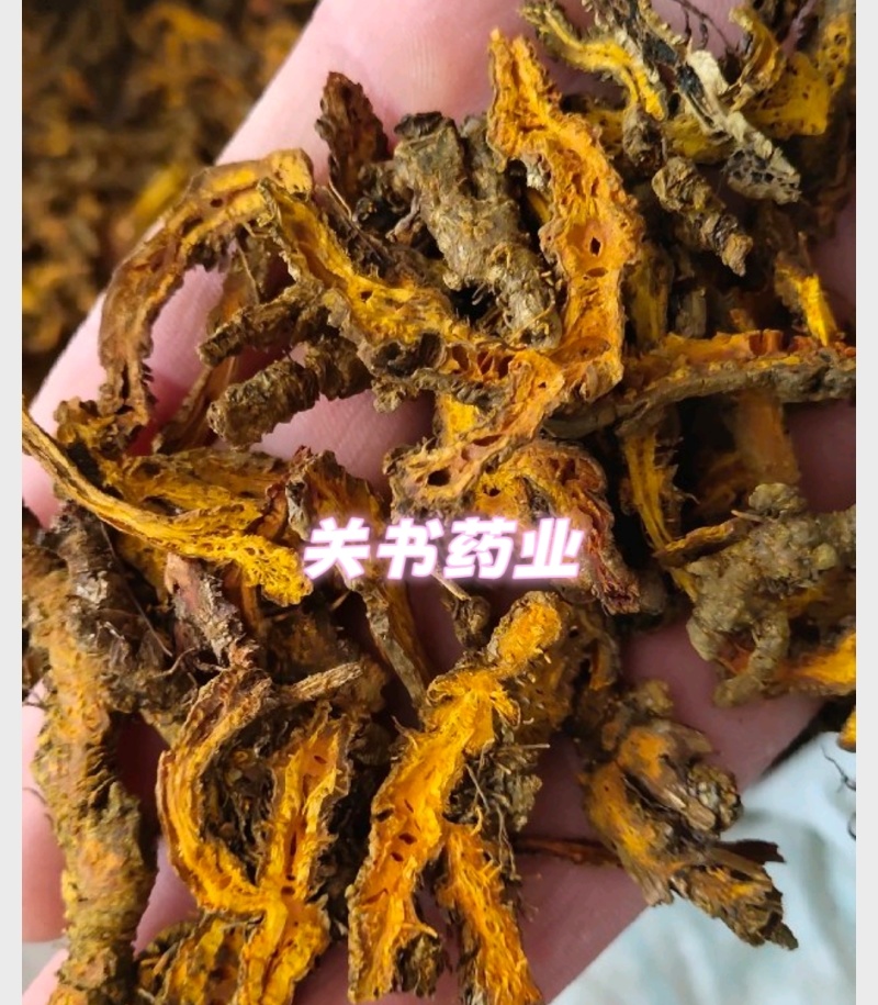 黄连片新货过筛片型好颜色好关书药业中药材