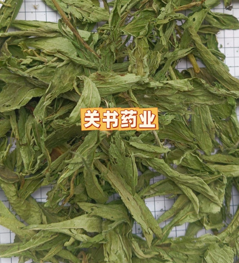 甜叶菊新货选《关书药业》品质如图规格齐全一手货源