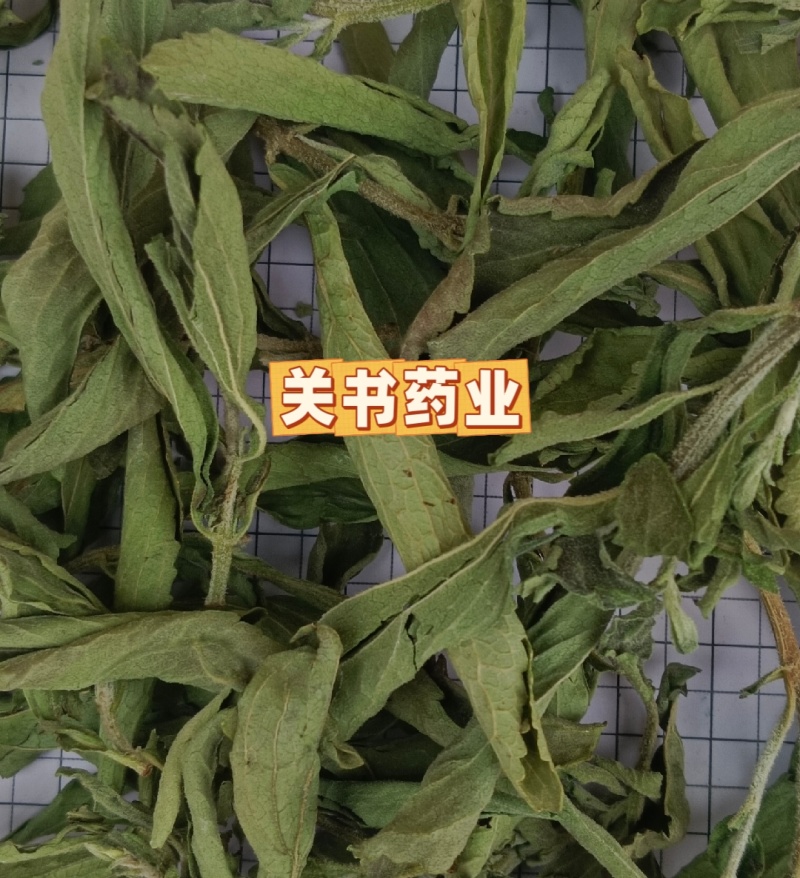 甜叶菊新货选《关书药业》品质如图规格齐全一手货源