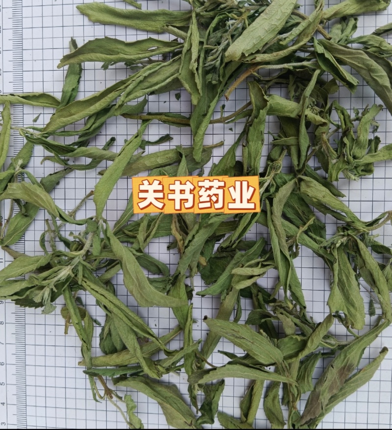 甜叶菊新货选《关书药业》品质如图规格齐全一手货源