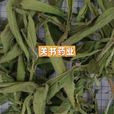 甜叶菊新货选《关书药业》品质如图规格齐全一手货源