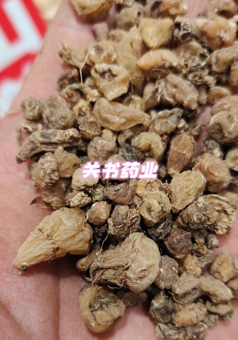 山慈菇毛慈姑选《关书药业》品质如图所示一手货源