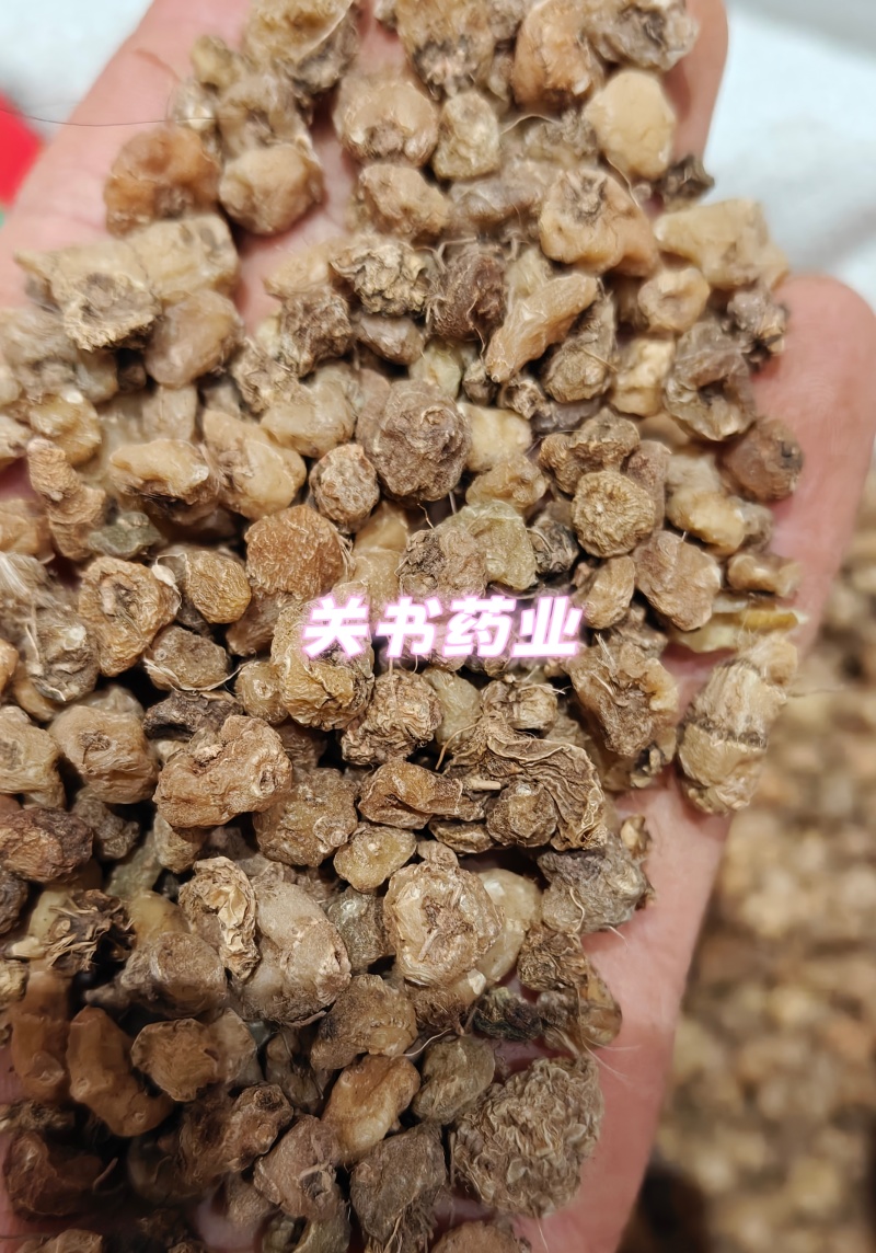山慈菇毛慈姑选《关书药业》品质如图所示一手货源