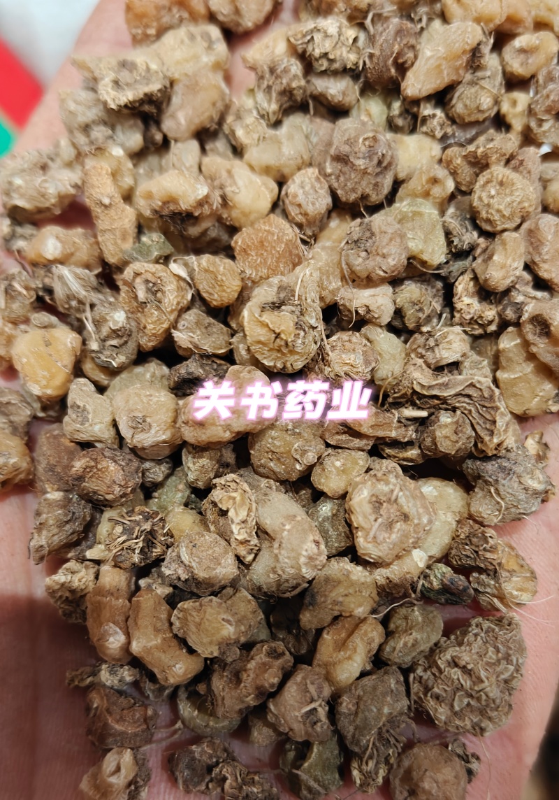 山慈菇毛慈姑选《关书药业》品质如图所示一手货源