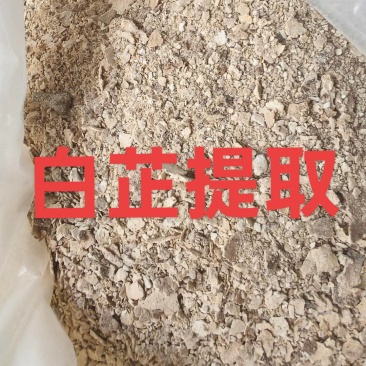 白芷提取渣，打粉神器。香味浓