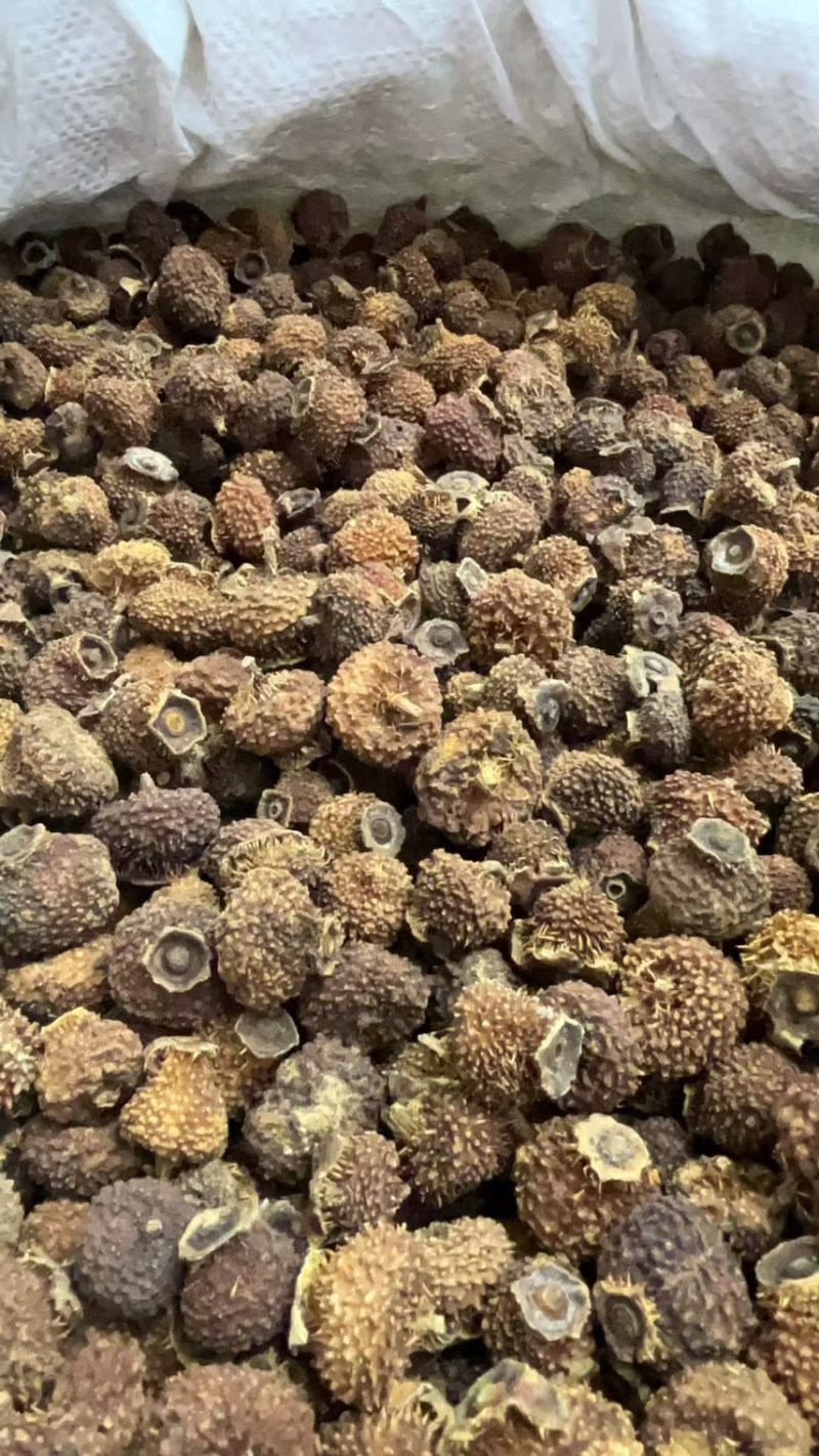 刺梨果原产地大货供应刺梨果批发