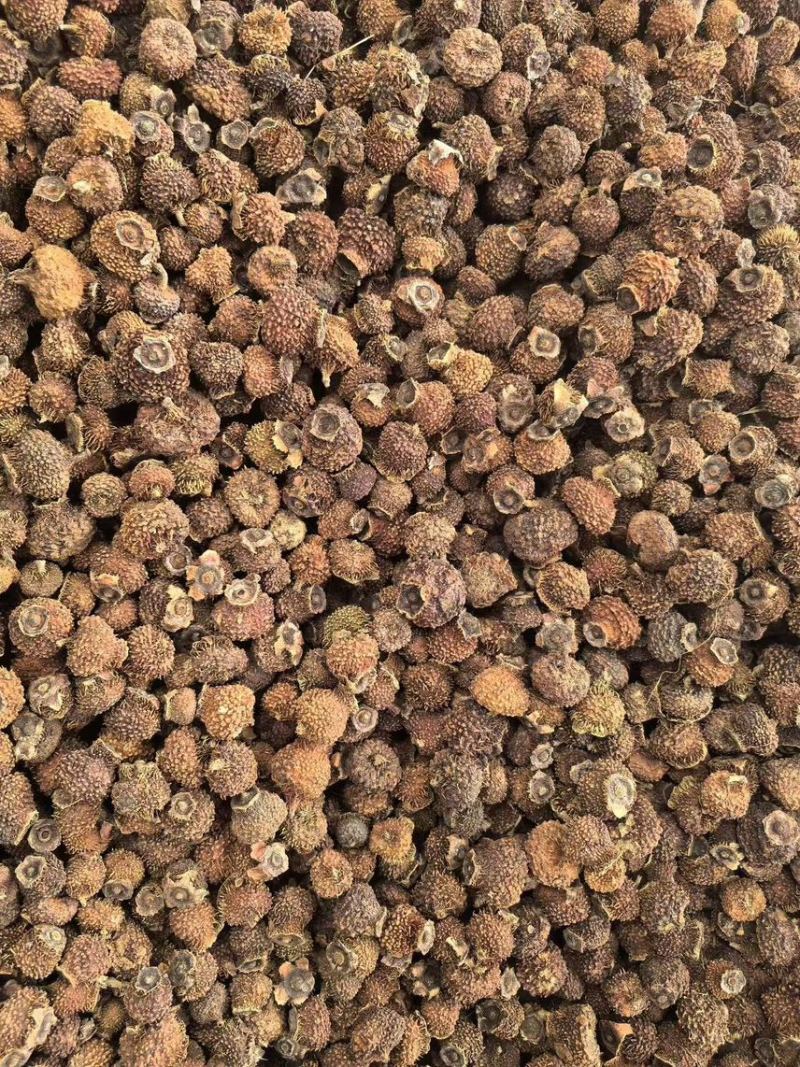 刺梨果原产地大货供应刺梨果批发