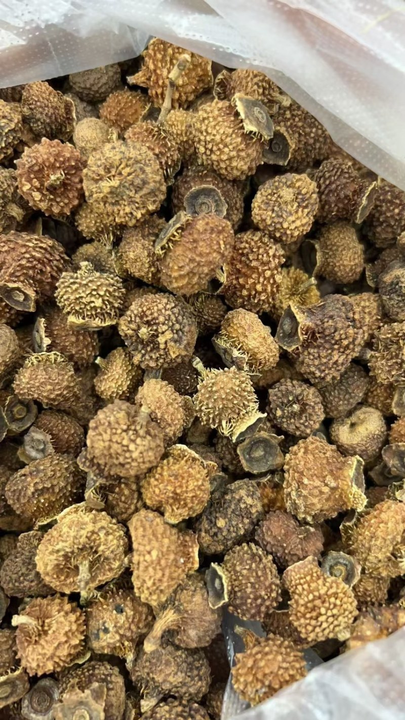 刺梨果原产地大货供应刺梨果批发