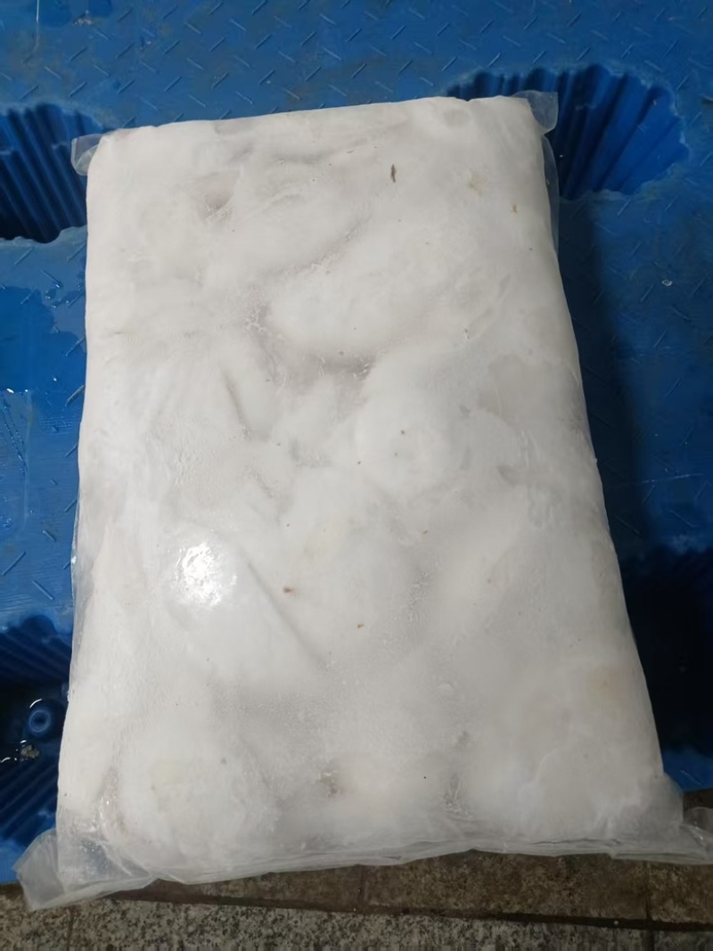 嫩香椰肉/椰子/热带水果/工厂直供对接批发零售商场超市等