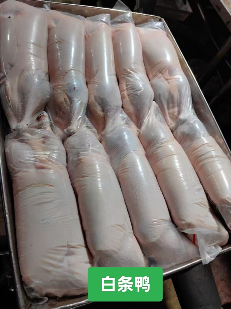 白条鸭全鸭有货一级二级规格齐全