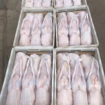 白条鸭全鸭有货一级二级规格齐全