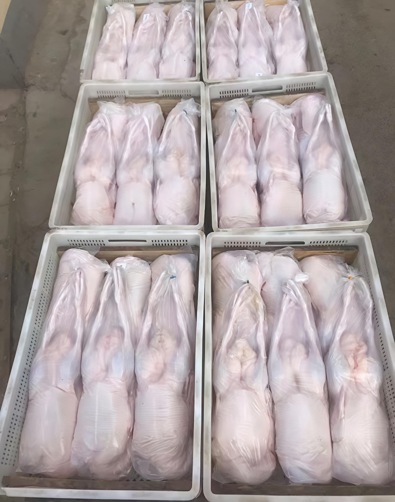 白条鸭全鸭有货一级二级规格齐全
