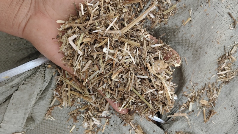 花生秧大量有货，先到先得，保证质量，品质第一，服务第一，