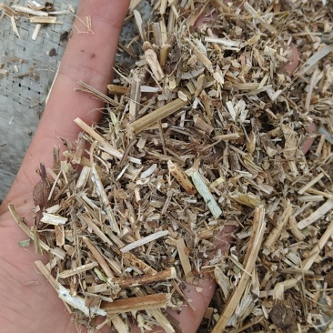 花生秧大量有货，先到先得，保证质量，品质第一，服务第一，