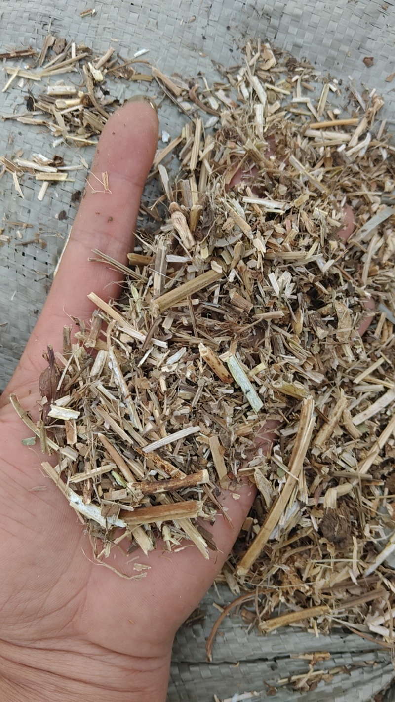 花生秧大量有货，先到先得，保证质量，品质第一，服务第一，
